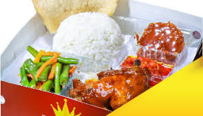 nasi kotak elegan bogor